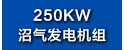 250KW沼气发电机组.jpg