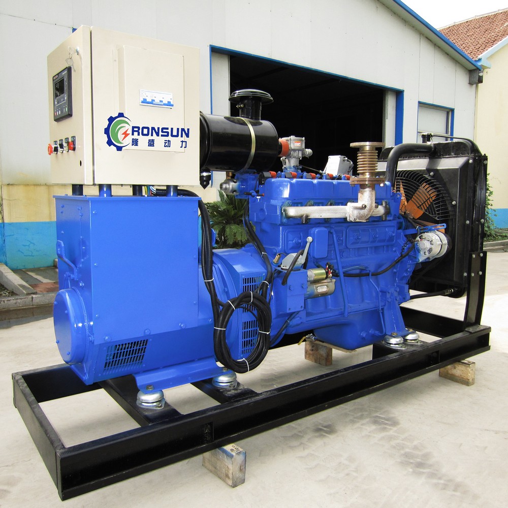 50kW 62.5kVA 沼气发电机组