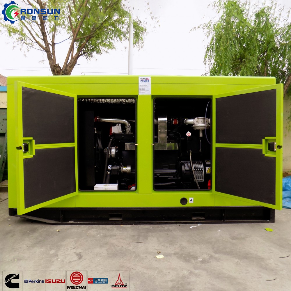 50kW 62.5kVA 沼气发电机组