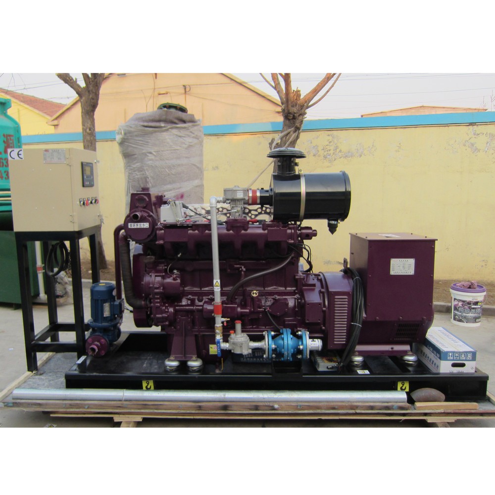 40kW 50kVA 沼气发电机组
