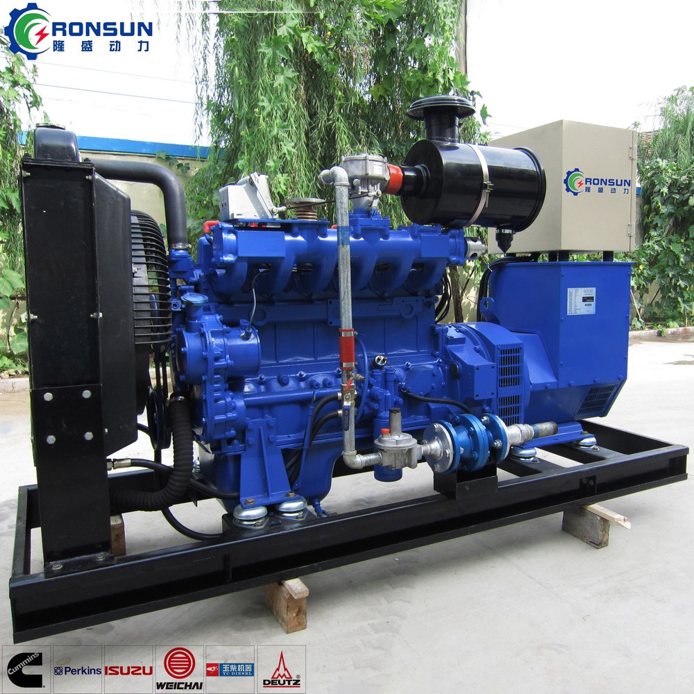 50kW 62.5kVA 沼气发电机组