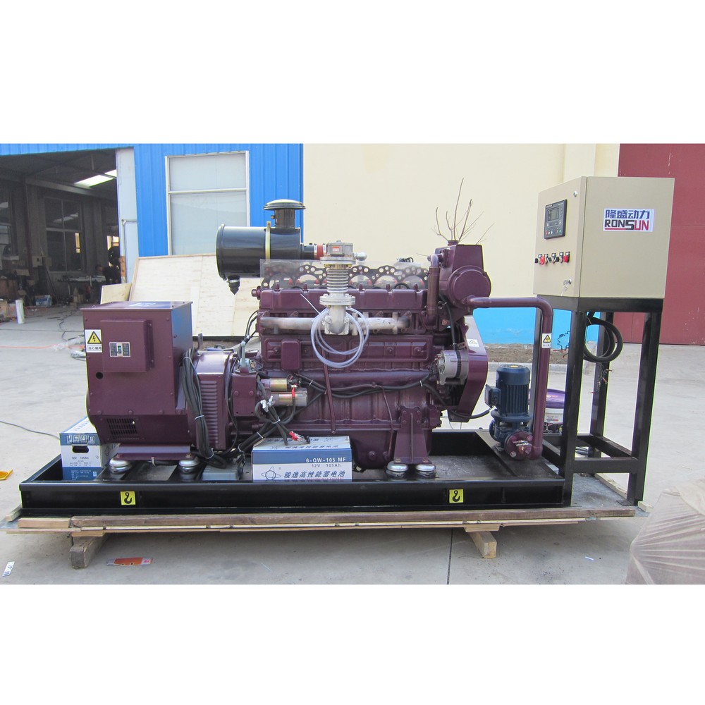 40kW 50kVA 沼气发电机组